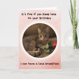 Funny Cat Says You Can Sleep Late on your Birthday Card