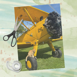 Funny Cat Sits Airplane Aviation Humour Pilot Gift Tissue Paper