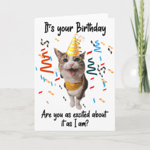 Funny Cat Smiling Birthday Greeting Card 