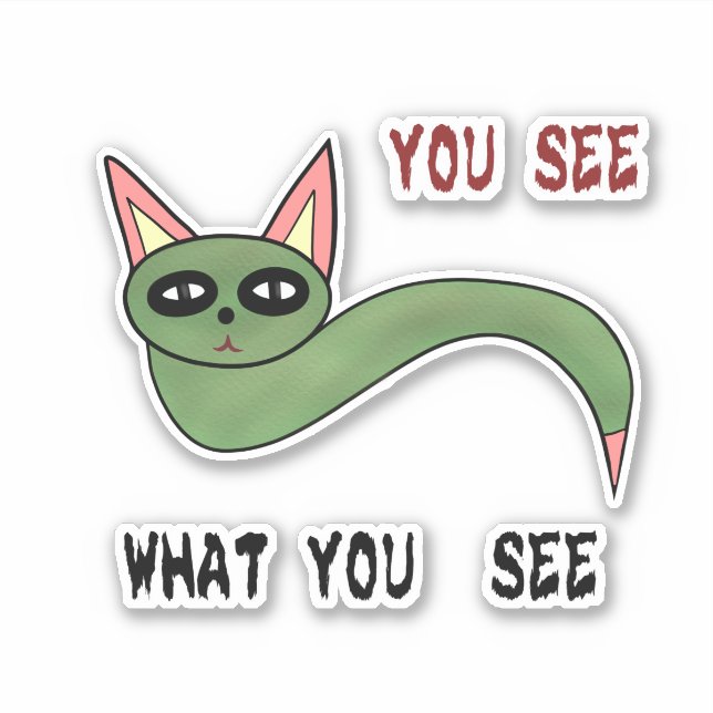Funny cat snake  (Front)