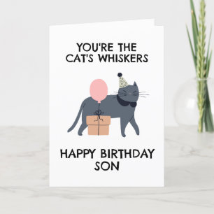 funny cat son birthday cards