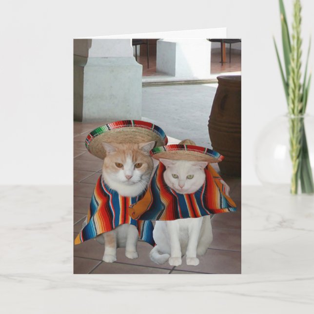 Funny Cat Spanish Birthday for husband or wife Card (Front)