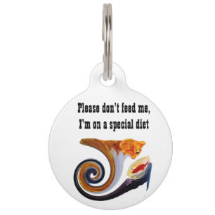 Funny Cat Special Diet Medical Pet Tag