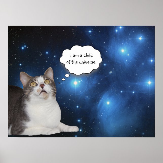 Funny Cat Star Gazer Poster (Front)