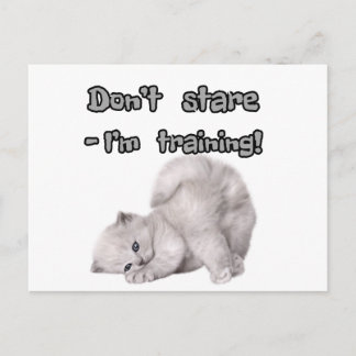 Funny Cat Sticker / Postcard