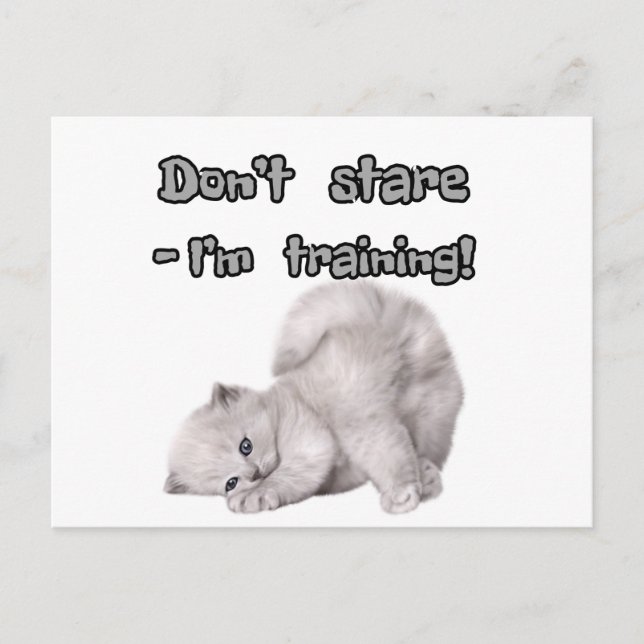 Funny Cat Sticker / Postcard (Front)