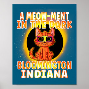 Funny Cat Total Solar Eclipse Pun Poster