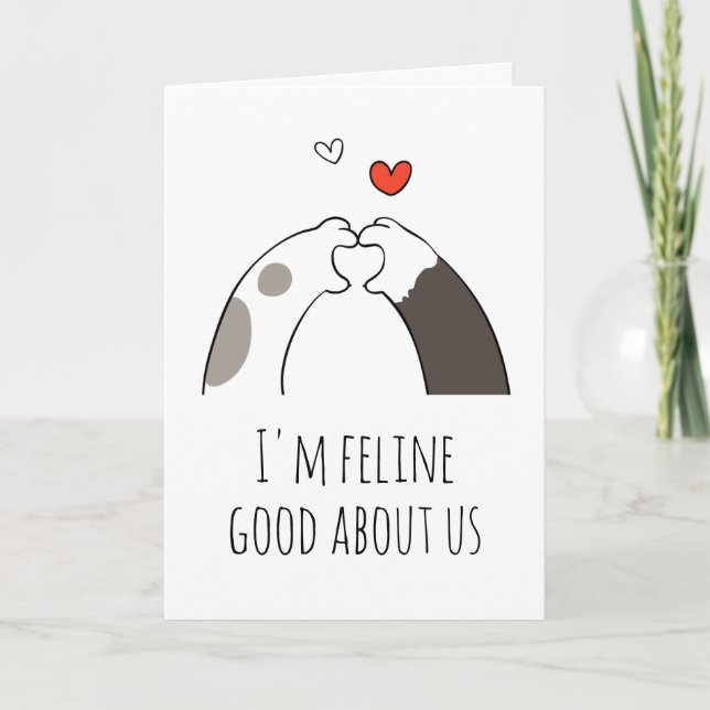 funny cat valentine cards (Front)