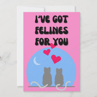 Funny Cat valentine's day cards