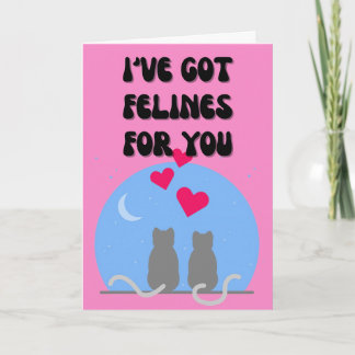 Funny Cat valentine's day cards