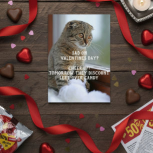 Funny Cat Valentine's Day Meme Single