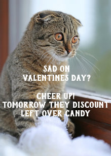 Meme Valentine Gifts On Zazzle Ca You just think o my gosh cat because she does the weirdest things. zazzle