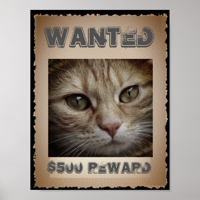 Funny Cat Wanted Poster (Front)