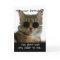 Funny Cat Wearing Glasses Birthday