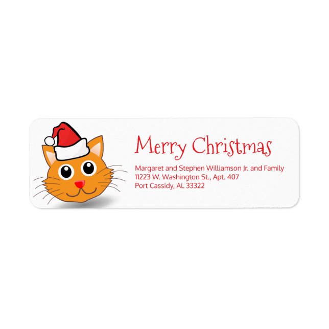 Funny Cat Wearing Santa Hat Cute Merry Christmas  (Front)