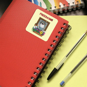 Funny Cat Window Yellow Freedom Square Sticker