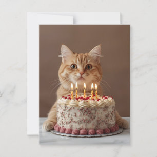 Funny cat with birthday cake postcard