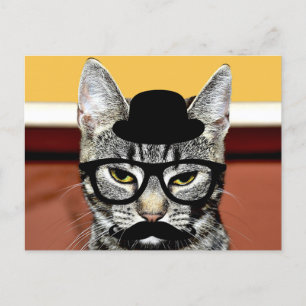 Funny Cat With Black Hat and Glasses Postcard