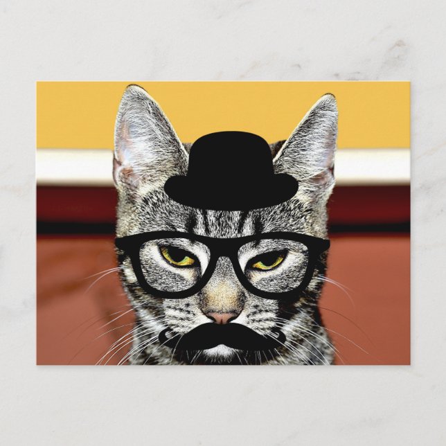 Funny Cat With Black Hat and Glasses Postcard (Front)