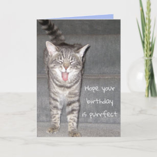 Funny Cat Yawning Birthday Card