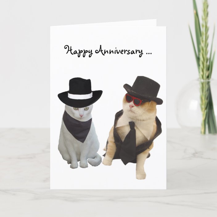 Funny Cats Anniversary Card | Zazzle.ca