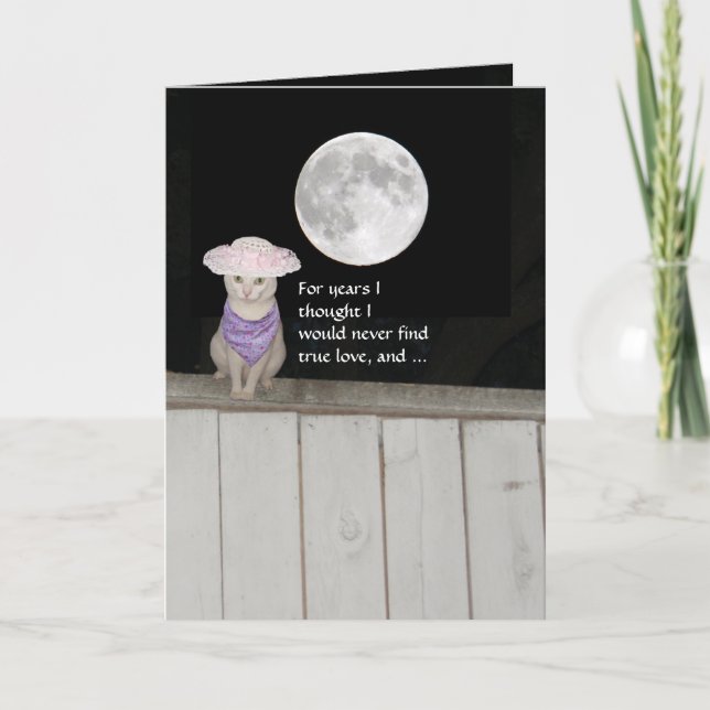 Funny Cats Anniversary for Husband Card (Front)