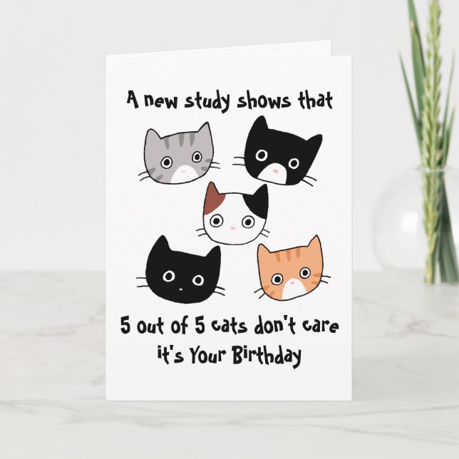 Funny Cats Birthday, cat loving friends birthday Card (Front)