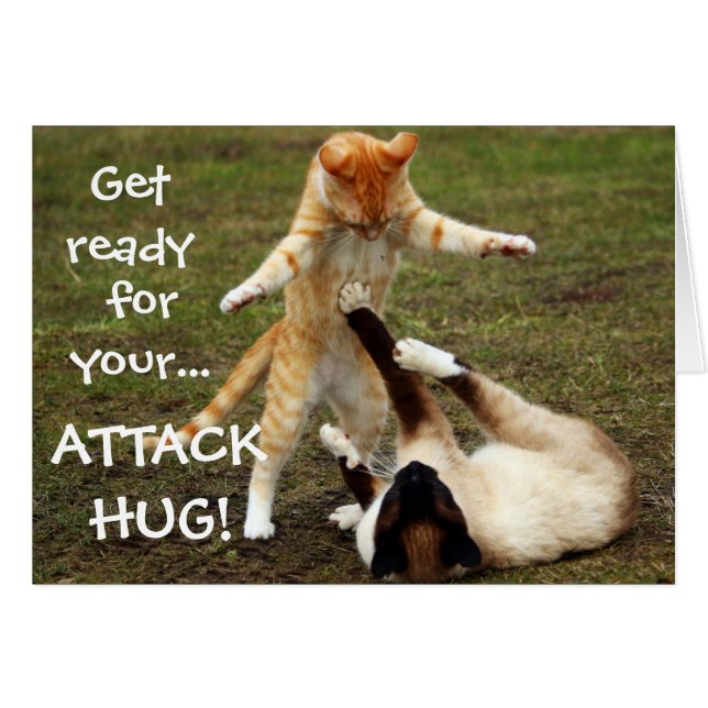 Funny Cats Caption Attack Hug (Front Horizontal)