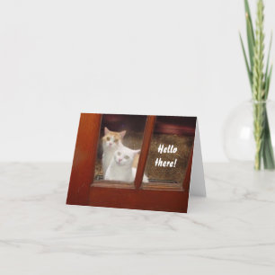 Funny Cats Carte pour notes