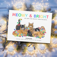 Funny Cats & Chickens Christmas Photo
