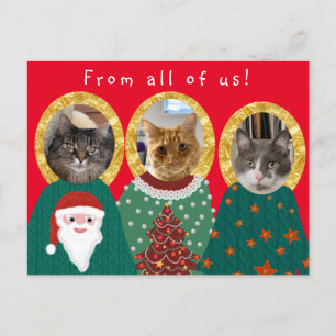Funny Cats Customized Ugly Christmas Sweater Postcard