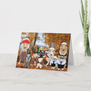 Funny Cats/Dogs/Labs as Pilgrims and Indians Holiday Card