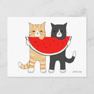 Funny Cats Eating Watermelon Postcard Funny Cats