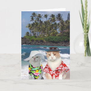 Funny Cats Hawaiian Valentine Holiday Card