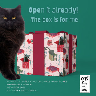 Funny Cats In Christmas Boxes Pink Red Green Wrapping Paper