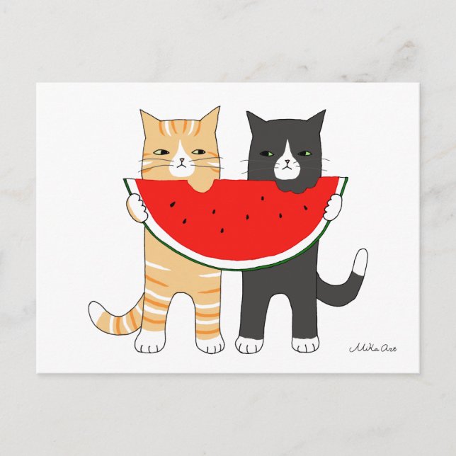 Funny Cats Manger Watermelon Carte postale Funny C (Devant)
