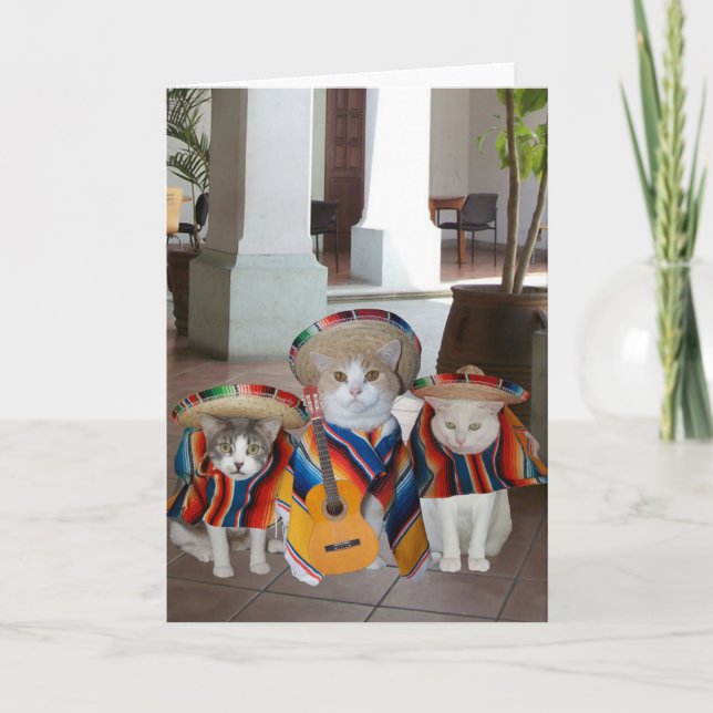 Funny Cats Spanish Birthday for anyone Card (Front)