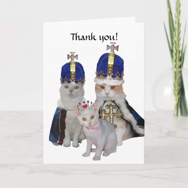 Funny Cats Thank You Card (Front)