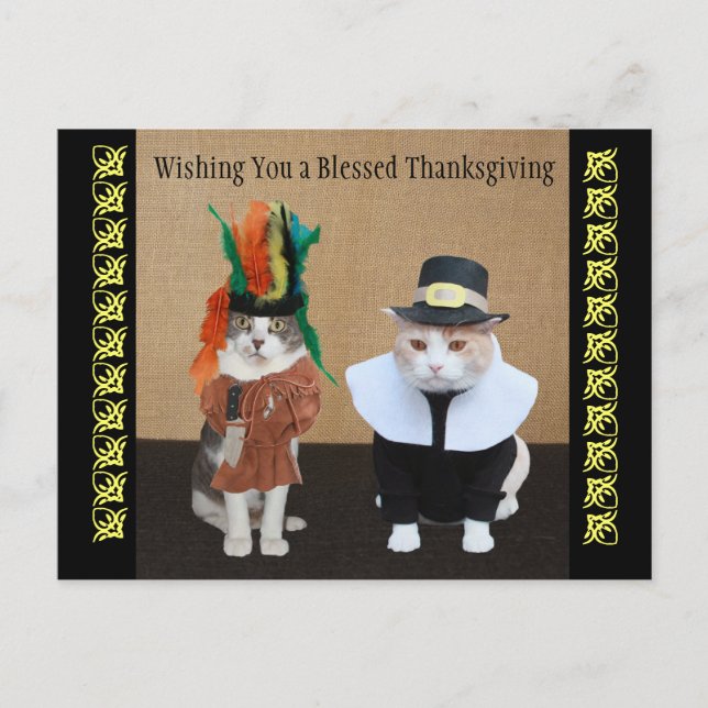 Funny Cats Thanksgiving Holiday Postcard (Front)