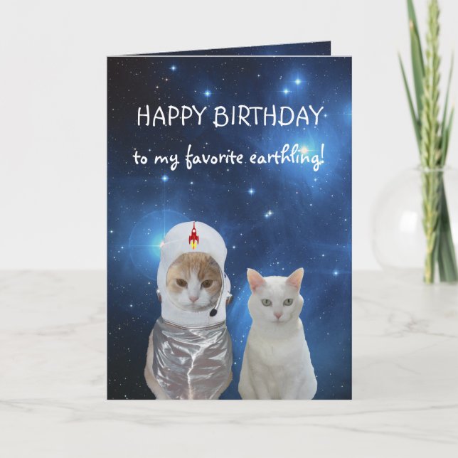 Funny Cats UFO Birthday Card (Front)