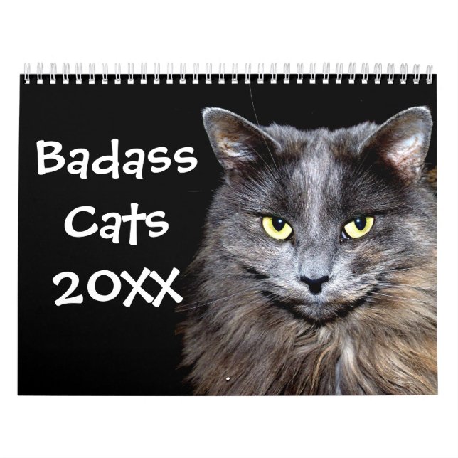 Funny Cats with Catitude Calendar (Cover)