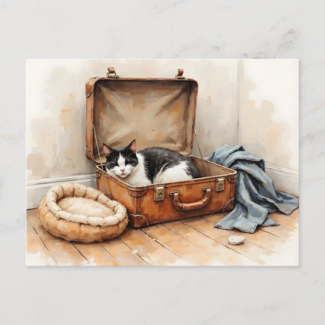 Funny Change of Address from Black and White Cat Postcard (Front)