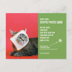 Funny Chat Noël Stupide carte postale Carte photo