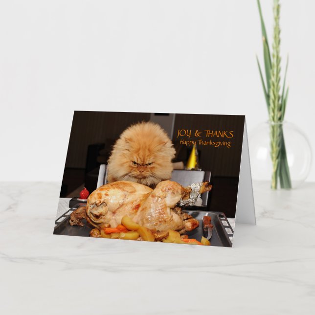 Funny Chat Thanksgiving carte postale (Recto)