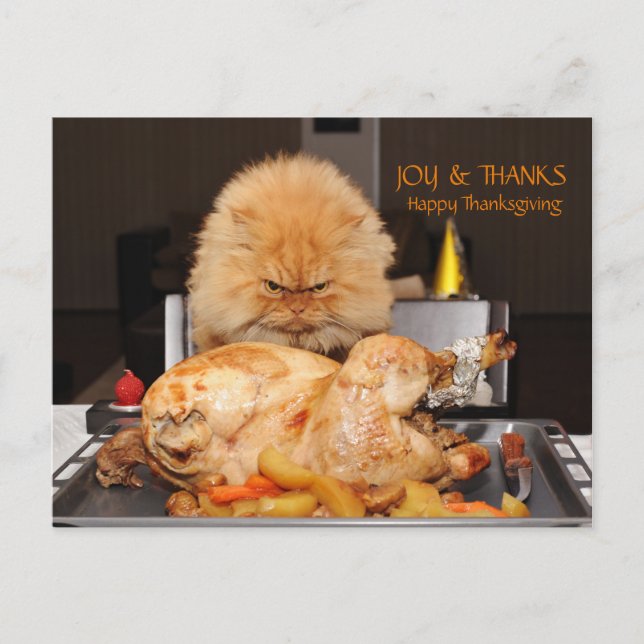 Funny Chat Thanksgiving carte postale (Devant)