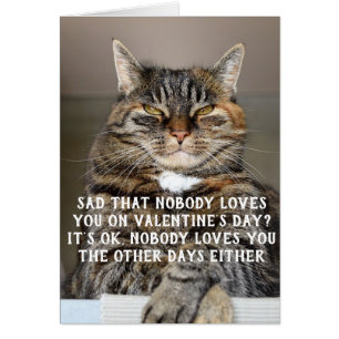 Funny Chat Valentine's Day meme