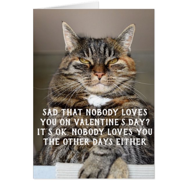 Funny Chat Valentine's Day meme (Devant)