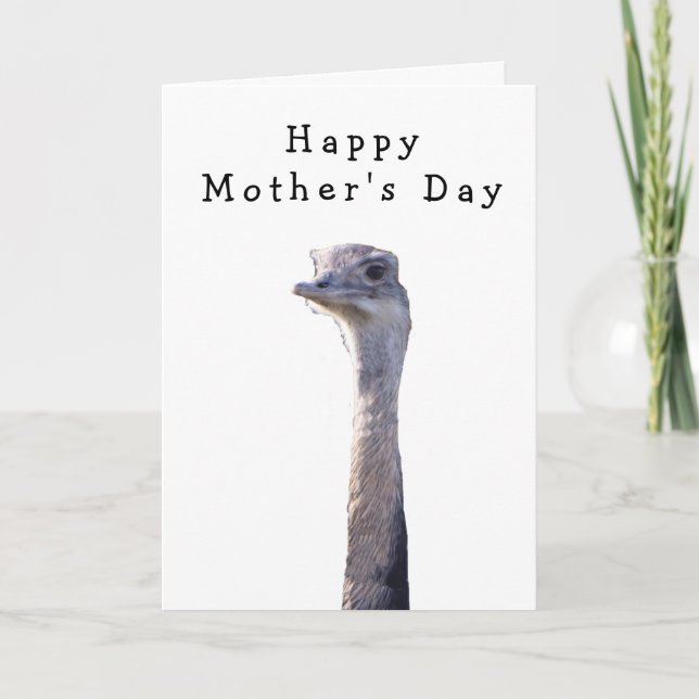 Funny Cheeky Bird Mother's Day Card (Front)