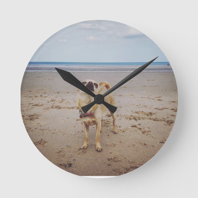 Funny cheeky chihuahua beach round clock (Front)