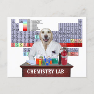 Funny Chemistry Teacher Postcard with Lab